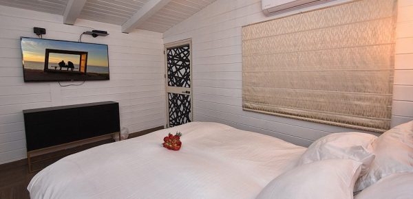 WhatsApp Image 2022-10-09 at 15.42.28 (2)