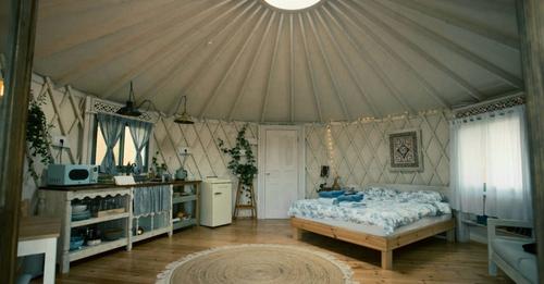 13918523226782376331-2